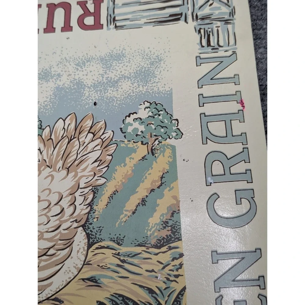 Lot Of 6 Vintage Hen Grain Ruffled Feathers Placemats By DCI Cottagecore Barn